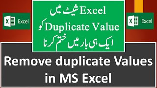 Remove Duplicates in Excel (Urdu / hindi)