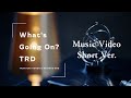 TRD「What&#39;s Going On?」Music Video Short ver.