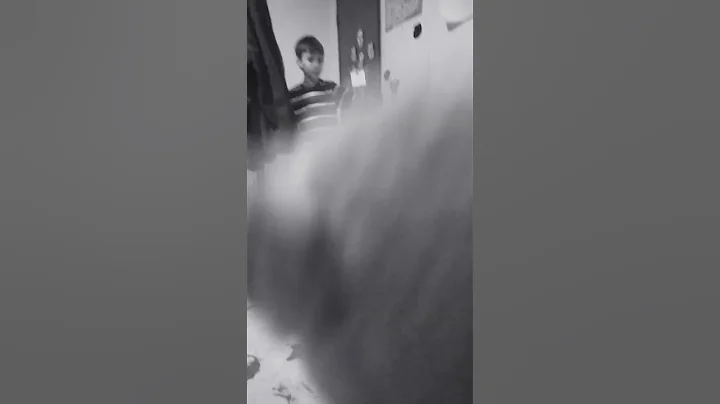 momo in my house! (TERRIFYING)