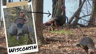 Wisconsin Spring Turkey Hunt | Late Afternoon Longbeard Down