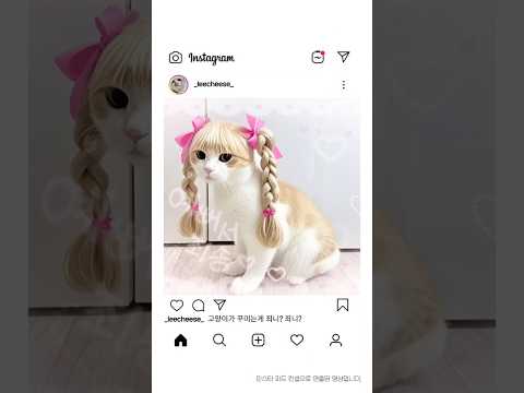 후으우흫~ 아띵커 륄리라잌 #제니#cat
