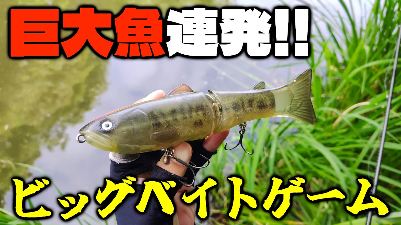 神アクションの改造スライドスイマー175Fでバス釣りしてたら面倒くさすぎた【ビッグベイト】