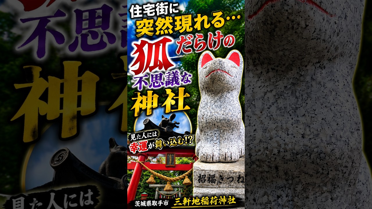 A mysterious shrine full of foxes that suddenly appears in a