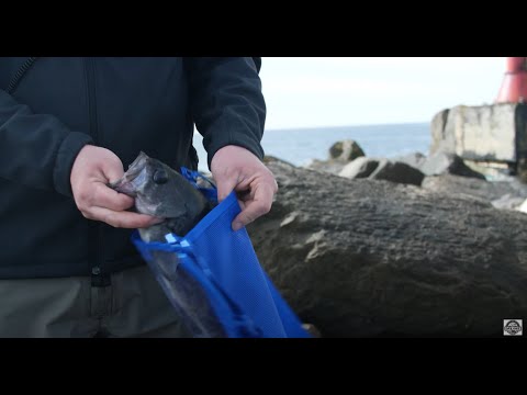 Surf/Jetty Fish & Gear Bag from Fish Field 