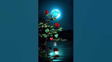 #اكسبلور #القرآن_الكريم #ماهرالمعيقلي سورة القيامه ❤️