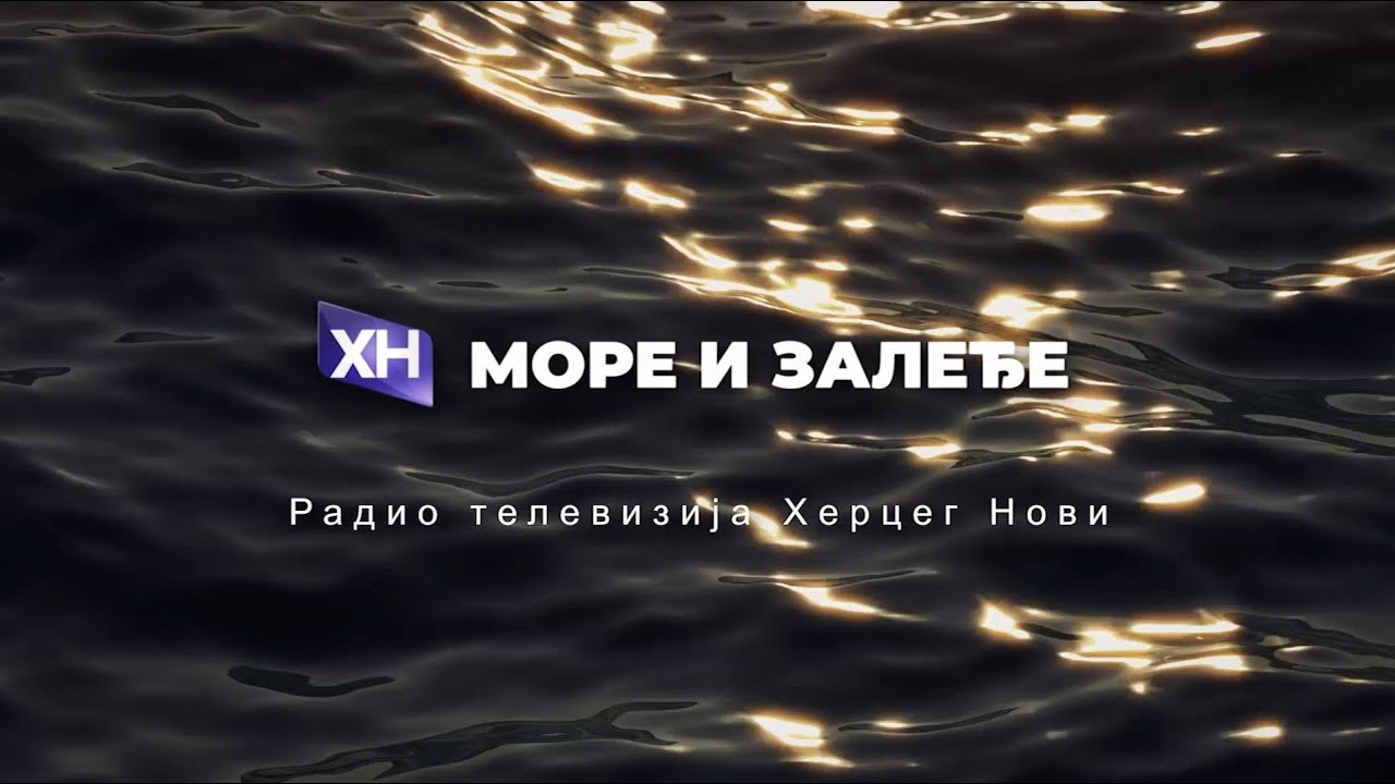 YouTube player