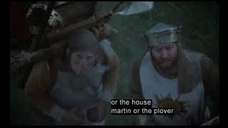 Monty Python Holy Grail 1975  European swallow scene