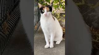 Anneye Bağırılmaz Şfet I