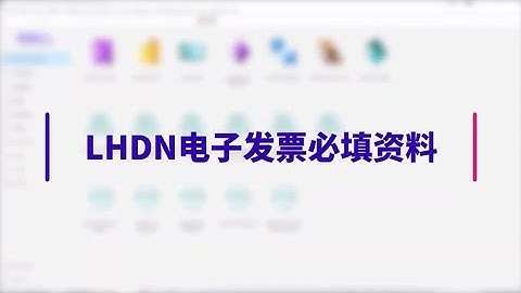 LHDN电子发票必填资料