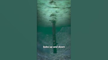 deadly river logs 😨 #shortvideo #shorts