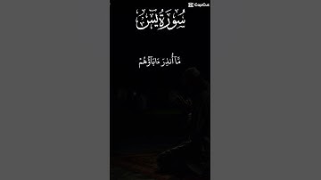 سورة يس #القرآن_الكريم #المصحف #videoviral #اكسبلور #لايك