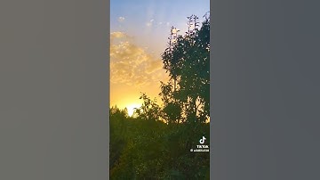 قال عيسى ابن مريم اللهم ربنا أنزل علينا مائدة من السماء  -سورة المائدة - سعد الغامدي