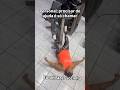🤣🤣Мечта а не тренировка🤣🤣 #стась #стеб #веселье #юмор #позитив #funnyvideo #gymfunny #gymhumor