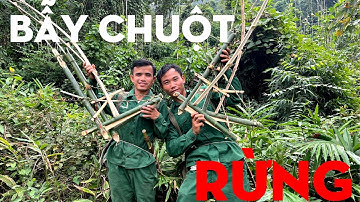 BẪY CHUỘT TRONG RỪNG/TỰ THỢ RỪNG
