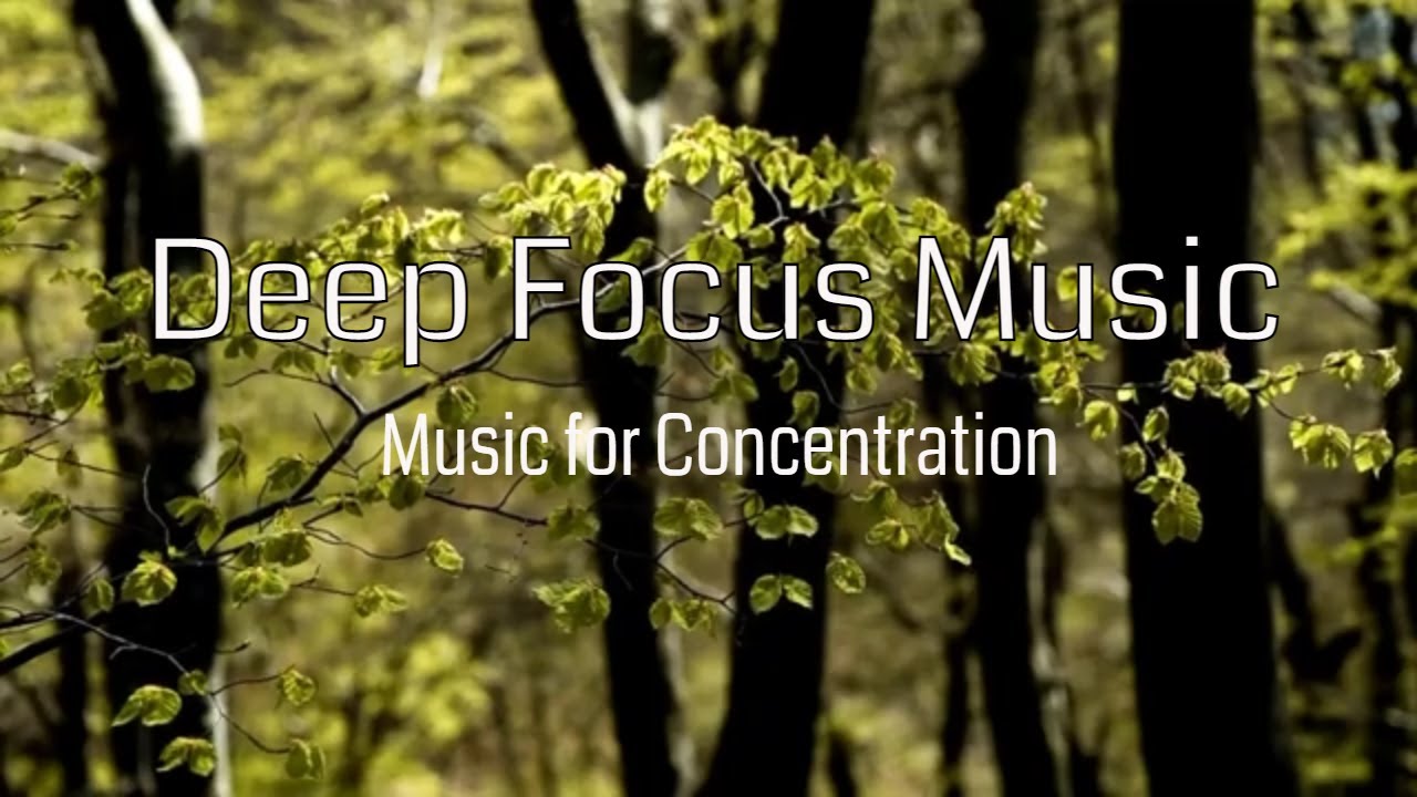 Deep Focus Music | 1 Hour Piano Music to Improve Concentration for ...