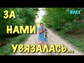 За нами УВЯЗАЛАСЬ КОШКА... Редкий гость