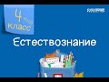 Естествознание. 4 класс /07.09.2020/