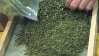 TheWeedGuy: How to Extract Kief Session 1