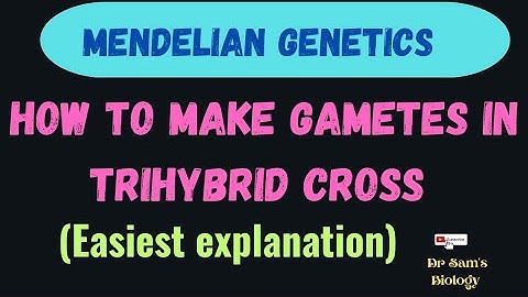 How to make gametes in Trihybrid Cross?