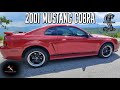 An Affordable Muscle Car | The 2001 Mustang COBRA