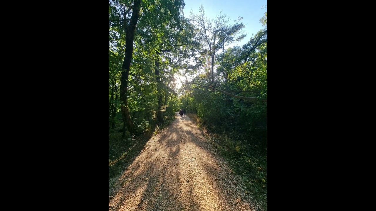 Retzer - Ramiz (Official Audio)