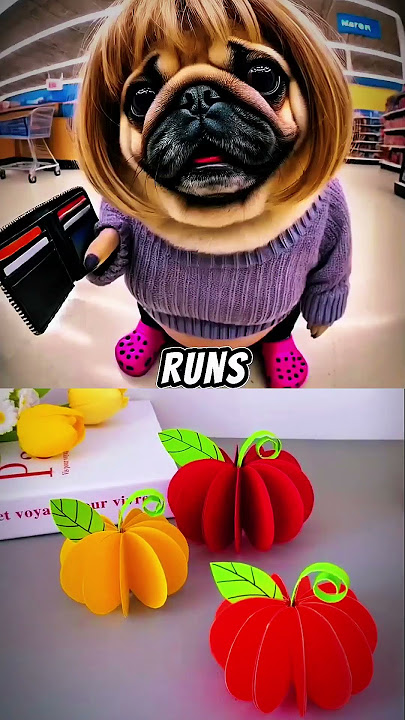 The smartest chihuahua EVER Sound ⁠_VuxVux _memes