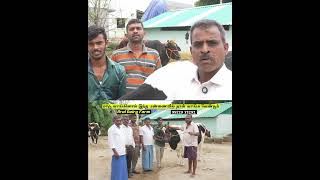 மாடு வாங்குனா இங்குதான் வாங்கனும் எல்லா மாருகளும் அருமையான மாடு | வாழப்பாடி அருள்