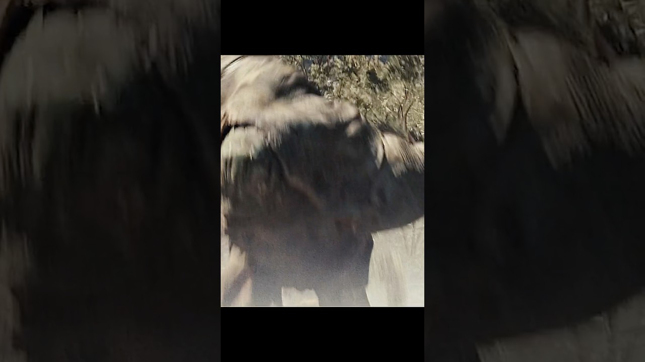 Cowboys & Aliens | Cowboys vs Aliens: The Desert Showdown