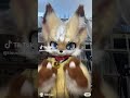 Rare TikTok of the most interesting furry I’ve ever seen