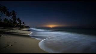 🔴 LIVE Beautiful Night Ocean 🌌 Best Sound for Insomnia & Deep Sleep