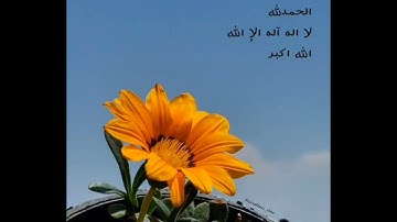اليوم تجزي كل نفس بما كسبت لا ظلم اليوم "غافر" تلاوه ماهر المعقيلي راحه نفسيه وهدوء ٦ دقائق حسنات 🧡
