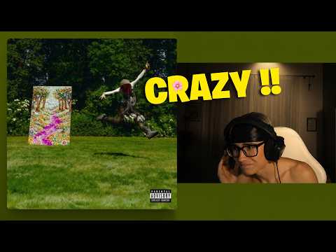 REACTION TO "THE SPRING BREAKER" by DREFGOLD 🔥