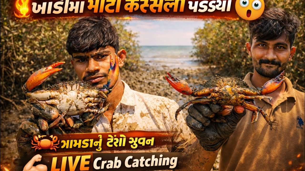 ખાડીમા કરસલા કાઢવા ગયા#a  🦀@