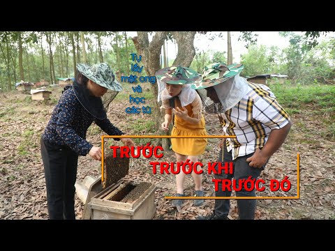 Video Cách sử dụng TRƯỚC, TRƯỚC KHI, TRƯỚC ĐÓ| VTV4 - youtube