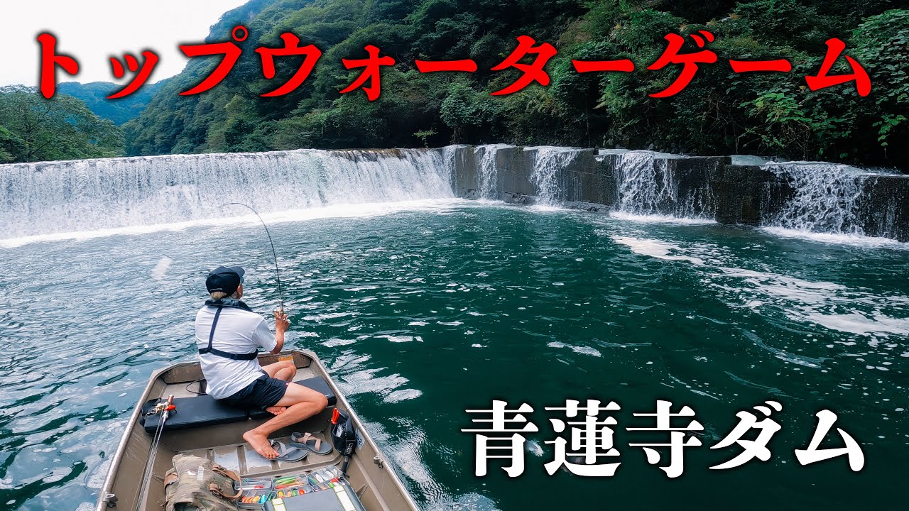 【青蓮寺ダム】プロトロッドの調子が良すぎる！