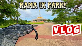 Komodo Dragons at Rama IX Park! [Vlog pt.5, Vol.4]