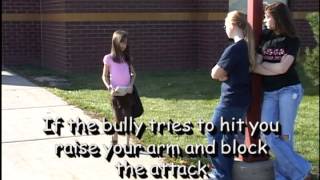 Master Lyle Bully Tip #2