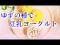 柚子の種の使い道*豆乳ヨーグルト*ゆずレシピ