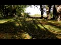 Otoño en el Alto Alfambra HD