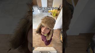 Have You Tried It? Not Cute Anymore Viral Trend