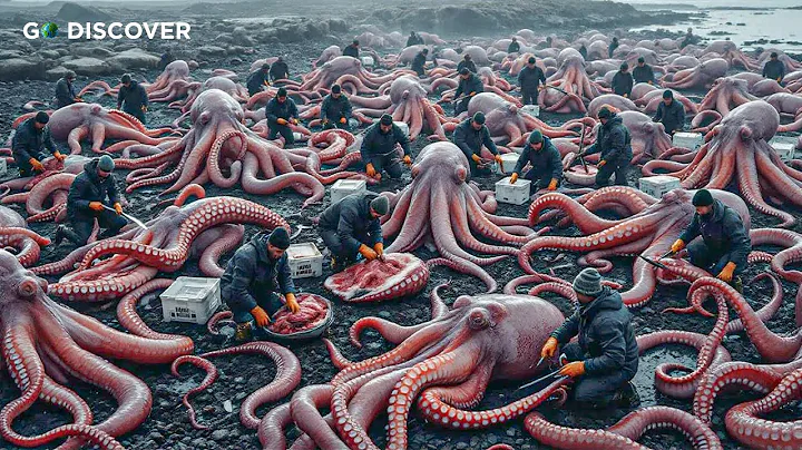 How 6 Tons of Octopus Sparked a $900,000 Payday in Less Than One Week | Fishing Documentary