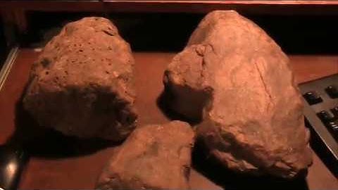 Mudfossil Giant toes transition to stone part 1