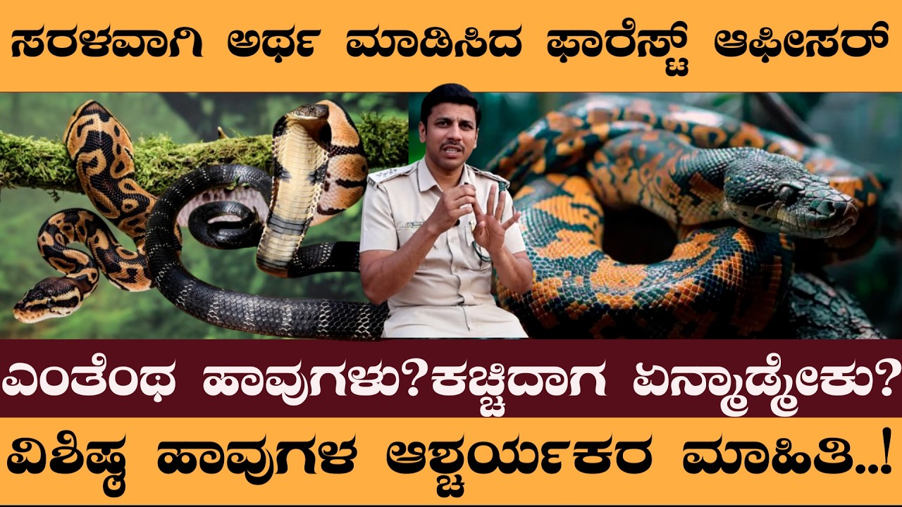 PART 1- ಎಂತೆಂಥ ಹಾವುಗಳು?ಕಚ್ಚಿದಾಗ ಏನ್ಮಾಡ್ಮೇಕು?ವಿಶಿಷ್ಠ ಹಾವುಗಳ ಆಶ್ಚರ್ಯಕರ ಮಾಹಿತಿ..! -Naveen rowth