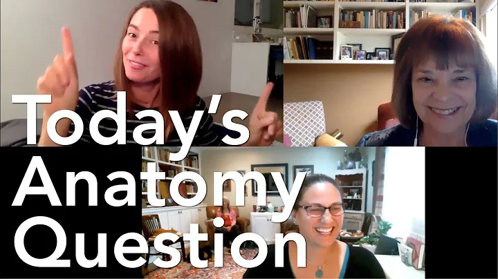 Today's Anatomy Question #24: Sacrum Mania with Judith Hanson Lasater