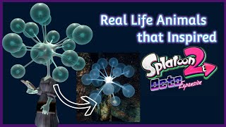 Real World Marine Animals that Inspired Splatoon 2’s Deepsea Metro Characters