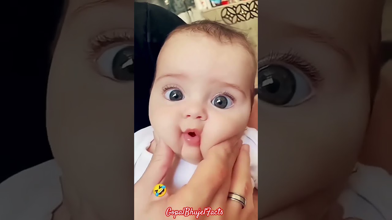 Cute Maxico Plush Dancing Cactus Electric Plush Toy 😍 🐦 #cutebaby