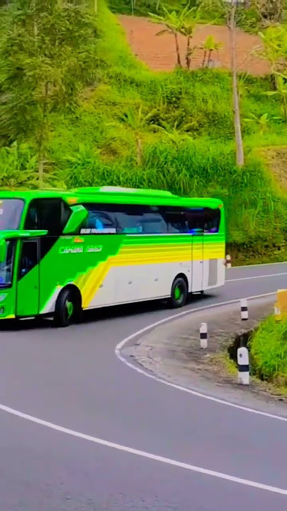 PERANG TELOLET BASURI DI KELOK 8 TAWANGMANGU
