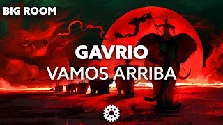 GAVRIO - Vamos Arriba