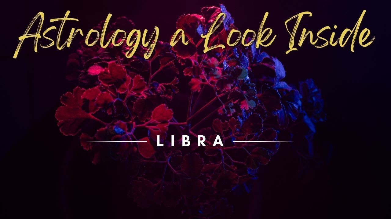 LIBRA CARD PULL - 9 of Pentacles   Success and Good Fortune are coming your way