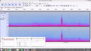 Nocmig 101: Data Entry